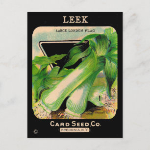 Card Seed Company Umschlag - Lauch Postkarte
