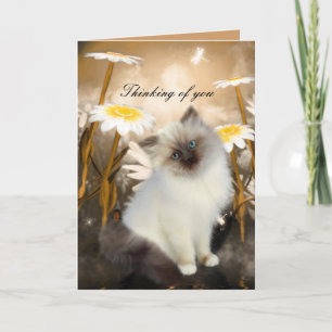Card White Cat Kitten Blume "Denken Sie an Sie" Karte