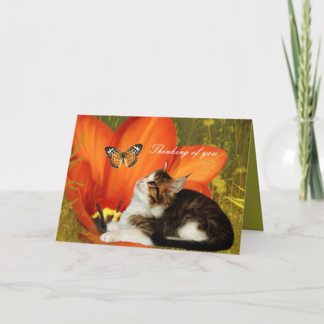 Card White Cat Kitten Blume "Denken Sie an Sie" Karte (Vorderseite)