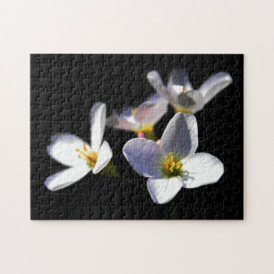 Cardamine Pratensis Blume 11x14 252pc jpcna Puzzle