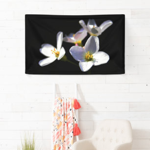 Cardamine Pratensis Blume bnrcnm Banner