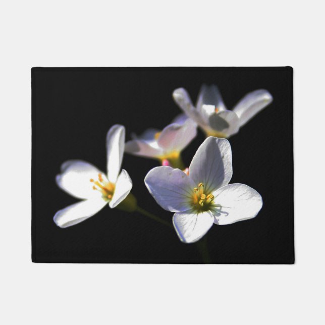 Cardamine Pratensis Blume dmcnm Fußmatte (Vorderseite)