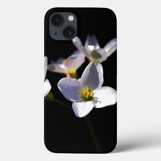 Cardamine Pratensis Blume iphcna Case-Mate iPhone Hülle (Rückseite)