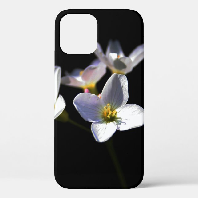 Cardamine Pratensis Blume iphcna Case-Mate iPhone Hülle (Rückseite)