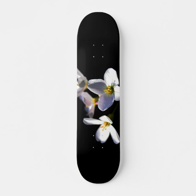 Cardamine Pratensis Blume sdcna Skateboard (Vorne)