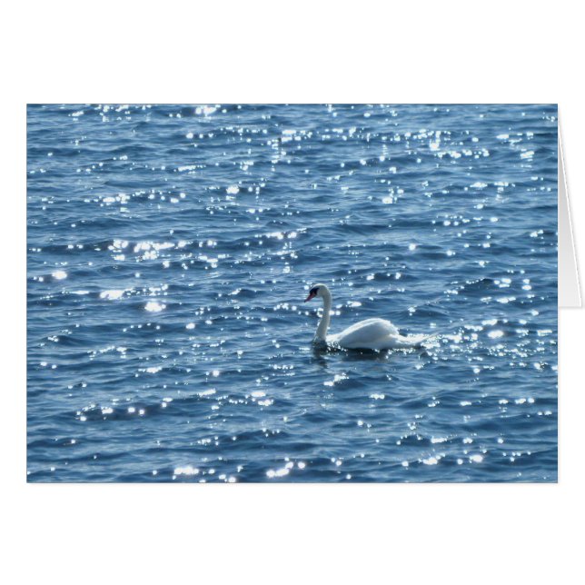 Cardiff Bay, Cardiff, Wales (Vorderseite (Horizontal))