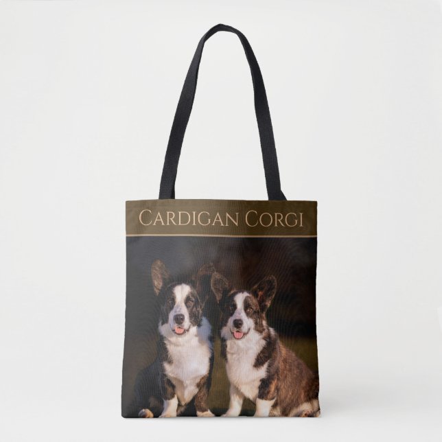 Cardigan Corgi (Vorderseite)
