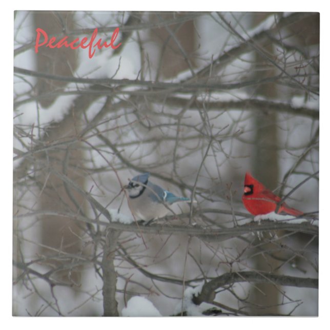 Cardinal and Jay Fliese (Vorderseite)