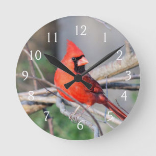 Cardinal Cheer Runde Wanduhr