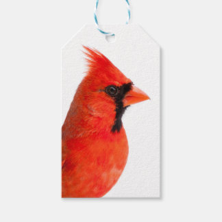 Cardinal Geschenkanhänger