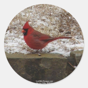 Cardinal Hot Springs Nat. Park Mountain AR Geschen Runder Aufkleber