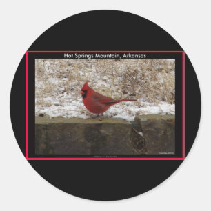 Cardinal Hot Springs Nat. Park Mountain AR Geschen Runder Aufkleber