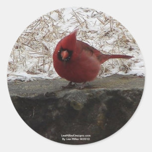 Cardinal Hot Springs Nat. Park Mt AR Geschenke Bek Runder Aufkleber