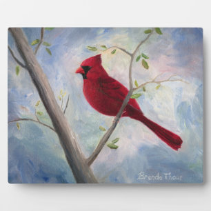 Cardinal Plaque Fotoplatte