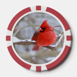  Cardinals_Poker_Chips  Pokerchips