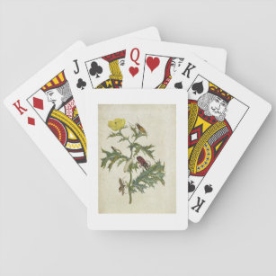 Cardos Spinosus: Käfer und Raupen, Platte 6 Spielkarten