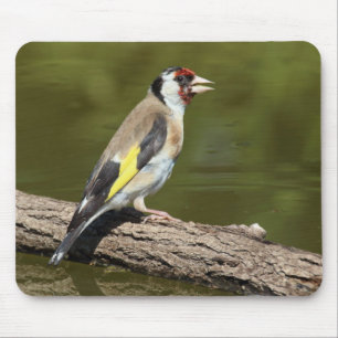 Carduelis carduelis mousepad