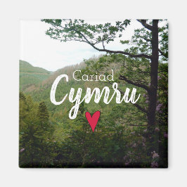 Cariad Cymru Wales Hill Landschaft Devils Bridge Magnet