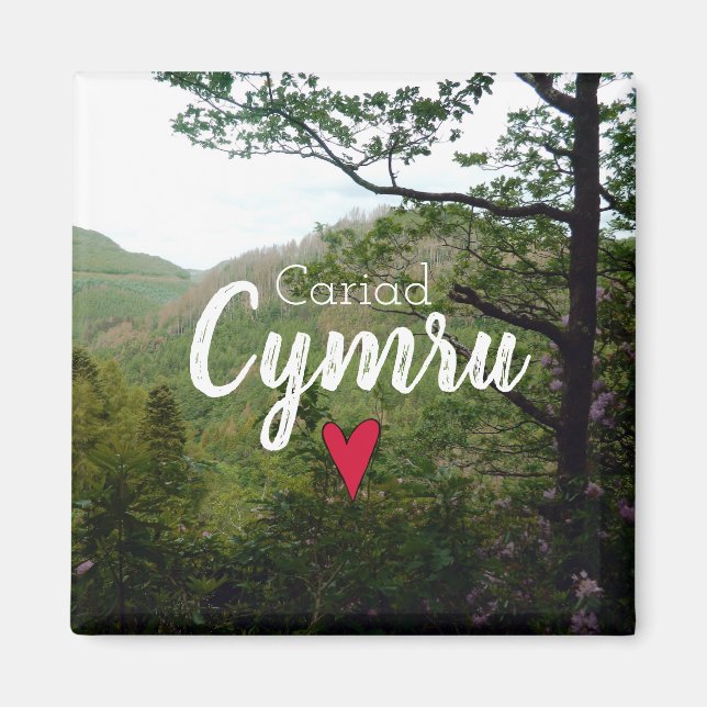Cariad Cymru Wales Hill Landschaft Devils Bridge Magnet (Vorne)
