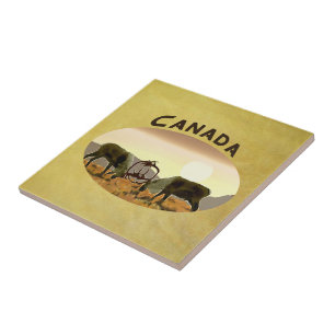 Caribbean Duel - Kanada Fliese