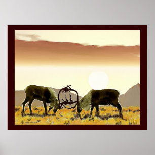 Caribbean Duel Poster