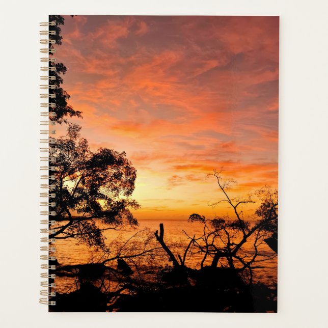 Caribbean Dusk Glow Planer (Vorderseite)