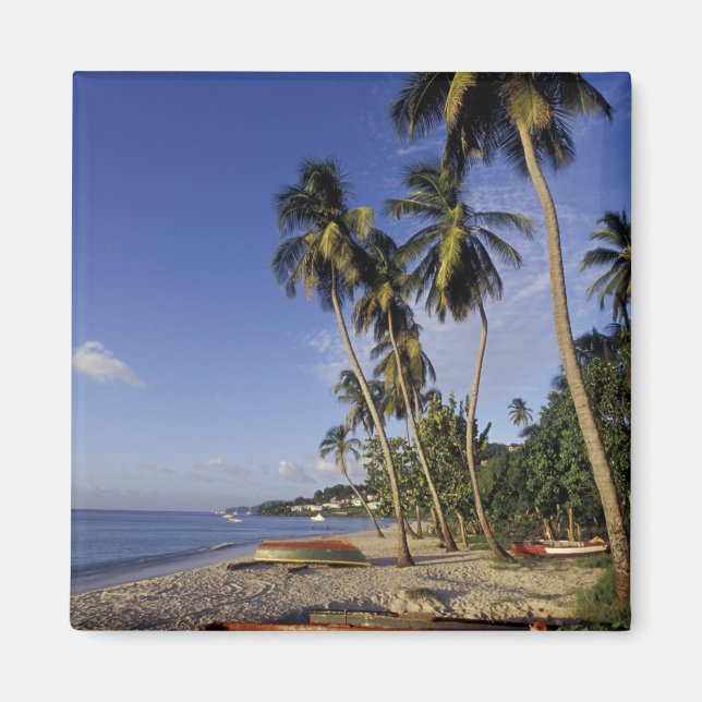 CARIBBEAN, Grenada, St. George, Palmenboote Magnet (Vorne)