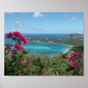 Caribbean Paradise Tropical Beach Foto Poster