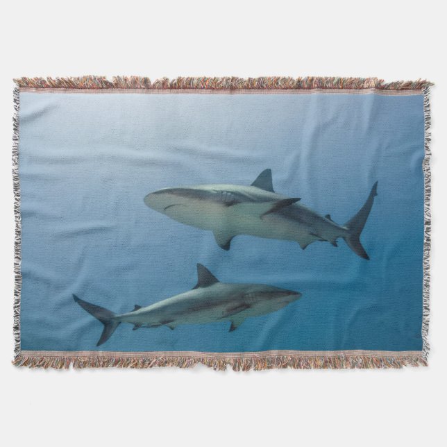 Caribbean Reef Shark Decke (Vorderseite)