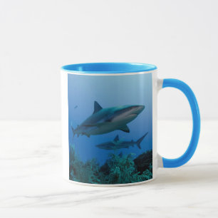 Caribbean Reef Shark Jardines de la Reina Tasse