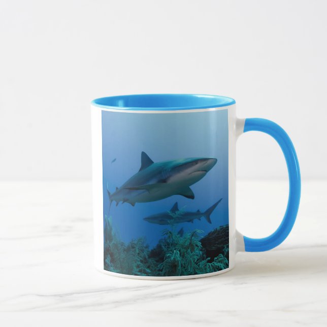 Caribbean Reef Shark Jardines de la Reina Tasse (Rechts)