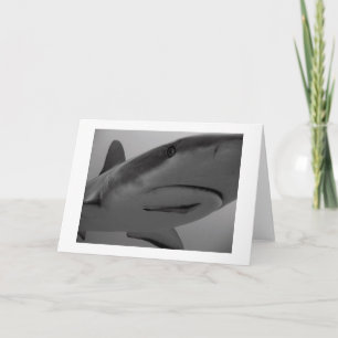 Caribbean Reef Shark Karte
