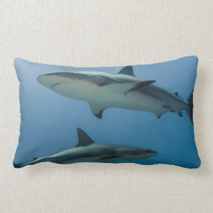 Caribbean Reef Shark Lendenkissen