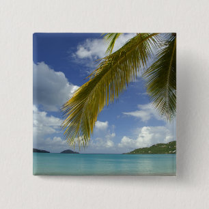 Caribbean, U.S. Jungfrau Islands, St.Thomas, Button