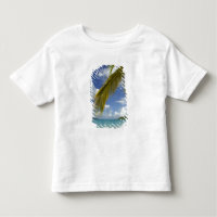 Caribbean, U.S. Jungfrau Islands, St.Thomas,
