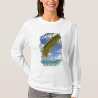 Caribbean, U.S. Jungfrau Islands, St.Thomas,