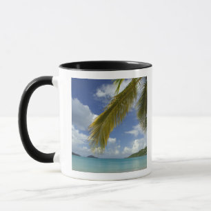 Caribbean, U.S. Jungfrau Islands, St.Thomas, Tasse