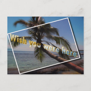 Caribbean Wish Sie waren hier: Postkarte