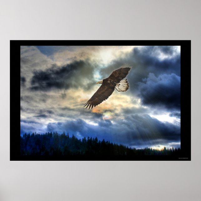 Cariboo Bald Eagle & Sunset Motivierend Poster (Vorne)
