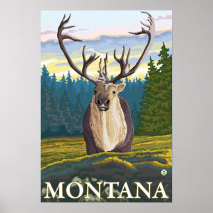 Caribou in the Wild - Montana Poster