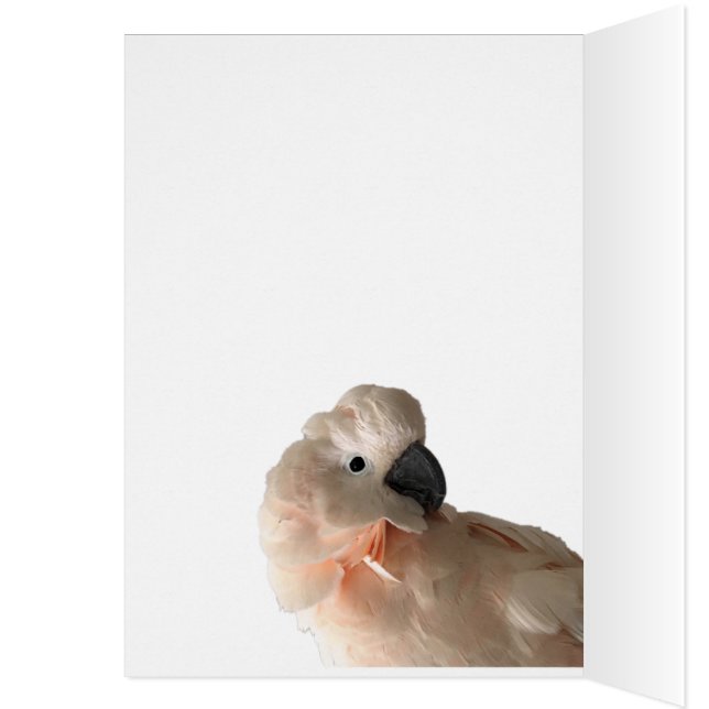 Caring teilt Karte (Innen (Links))