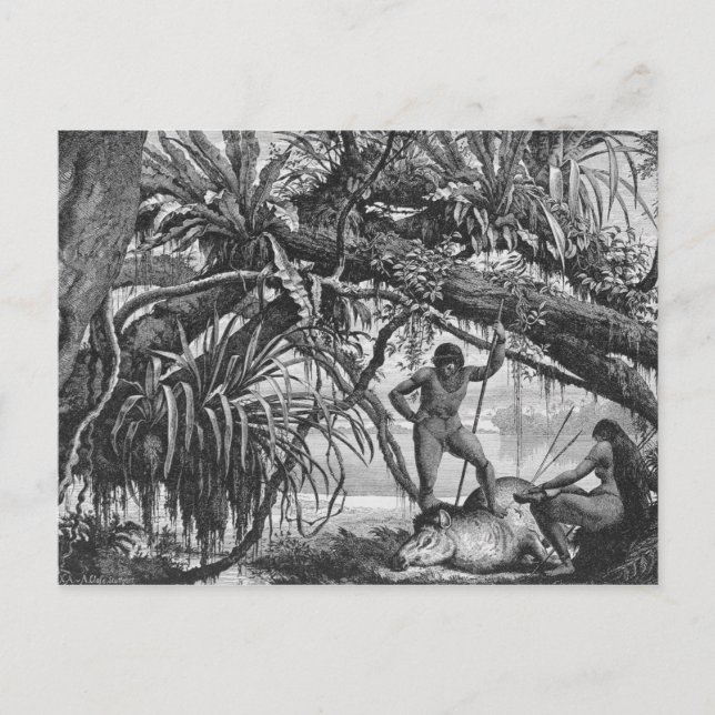 Caripuna-Amerikanische Ureinwohner mit Tapir Postkarte (Vorderseite)