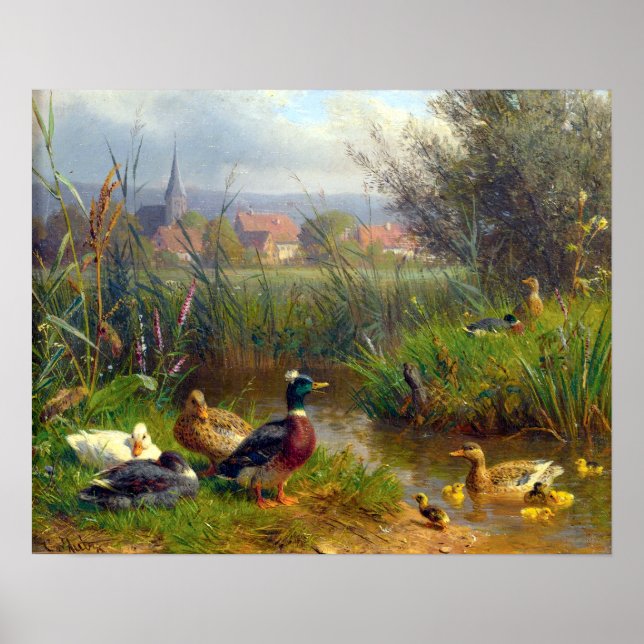 Carl Jutz Ducks Poster (Vorne)