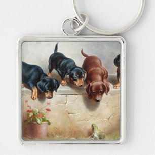 Carl Reichert Neugierige Dachshund-Welpen und ein  Schlüsselanhänger