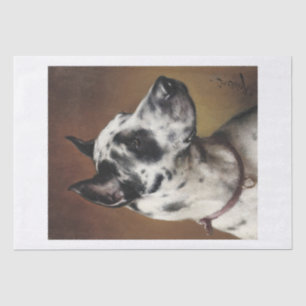 Carl Richert Great Dane Dog Portrait Seidenpapier