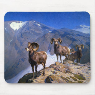 Carl Rungius Big Horn Schafe auf Wilcox Pass Mousepad