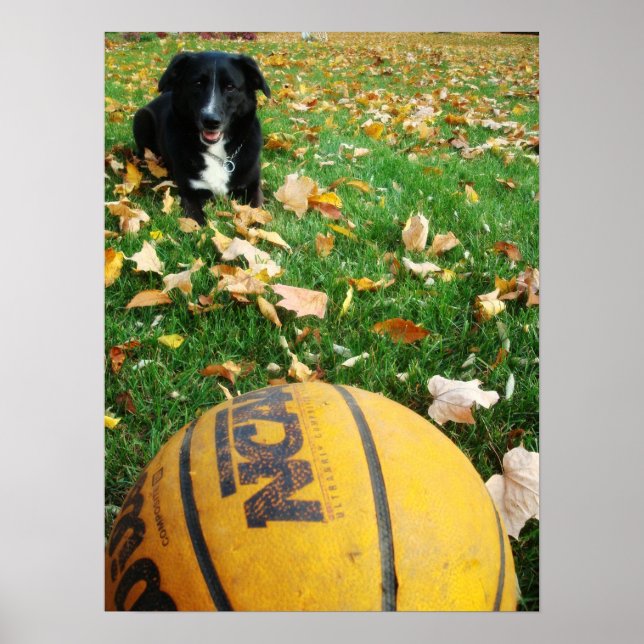 Carlee Poster (Vorne)