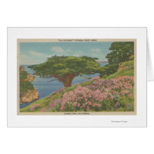 Carmel Bay, CA - View of "Old Veteran" Tree