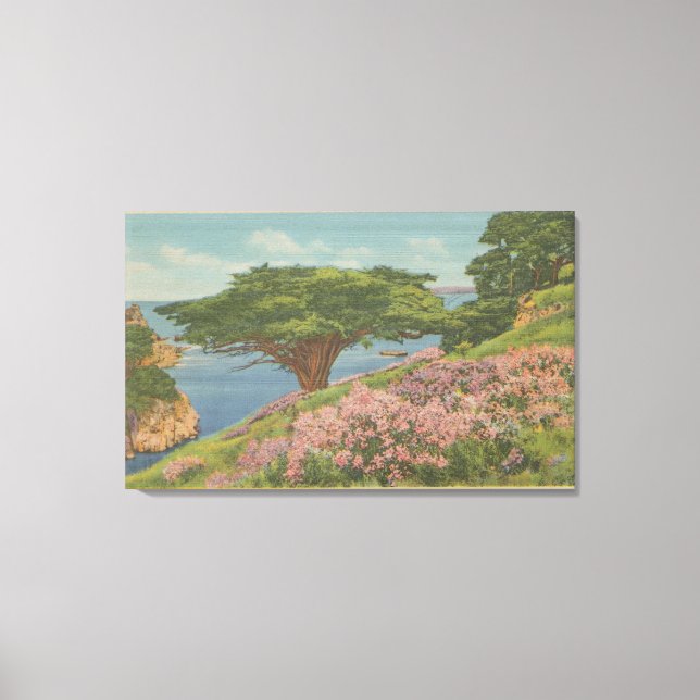 Carmel Bay, CA - View of "Old Veteran" Tree Leinwanddruck (Vorderseite)