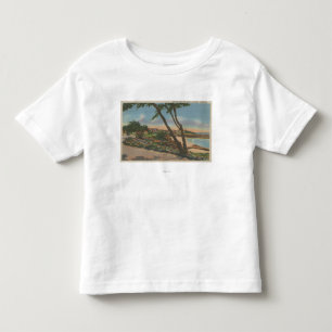 Carmel, CA - Häuser entlang der Ufer-Ansicht Kleinkind T-shirt